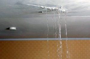 Dégât des eaux en location