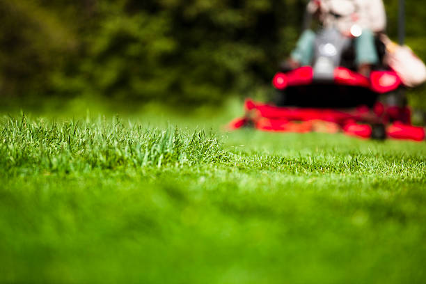 Entretien des pelouses : Comment entretenir une pelouse saine et bien entretenue.