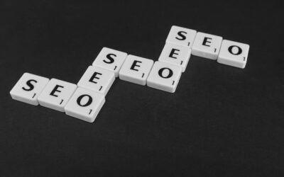 Consultant SEO