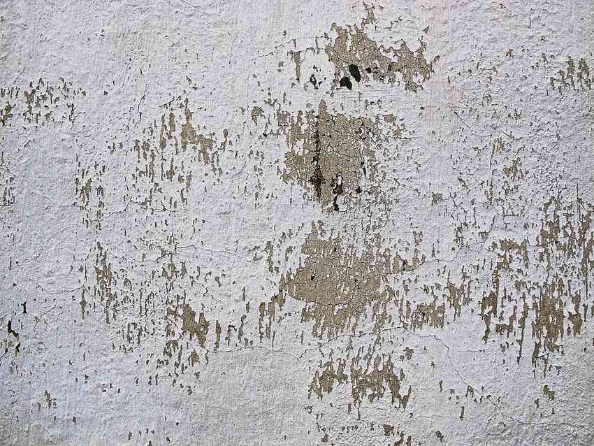 Peinture qui se décolle sur un mur d'un local ancien