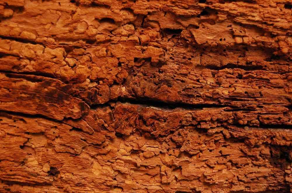 Détail de bois ancien fissuré et écaillé montrant la dégradation et l'usure du matériau