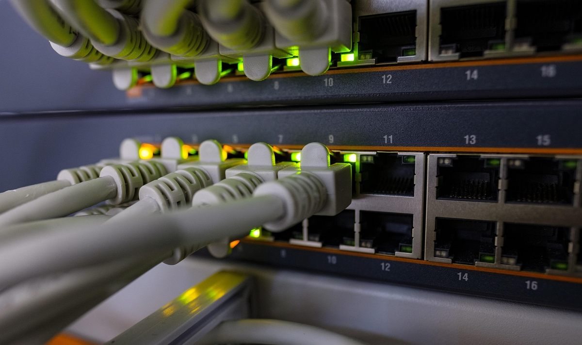 Câbles réseau connectés à des ports numérotés sur un rack